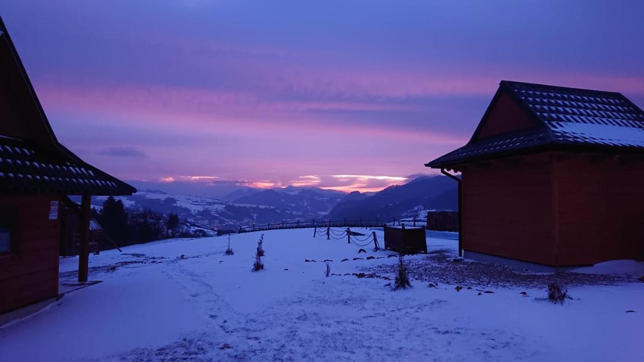 Chatki Niwki u Zbója Krościenko Exterior foto