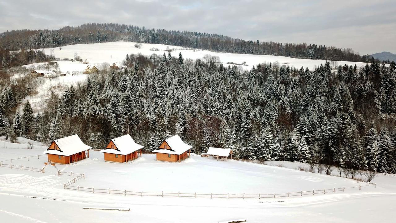 Chatki Niwki u Zbója Krościenko Exterior foto