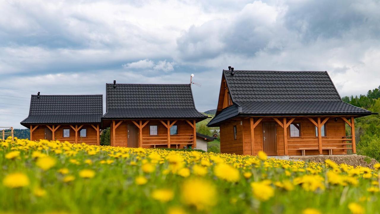 Chatki Niwki u Zbója Krościenko Exterior foto